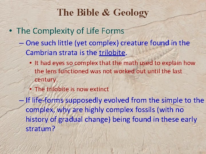 The Bible & Geology • The Complexity of Life Forms – One such little