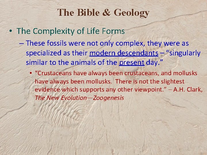 The Bible & Geology • The Complexity of Life Forms – These fossils were