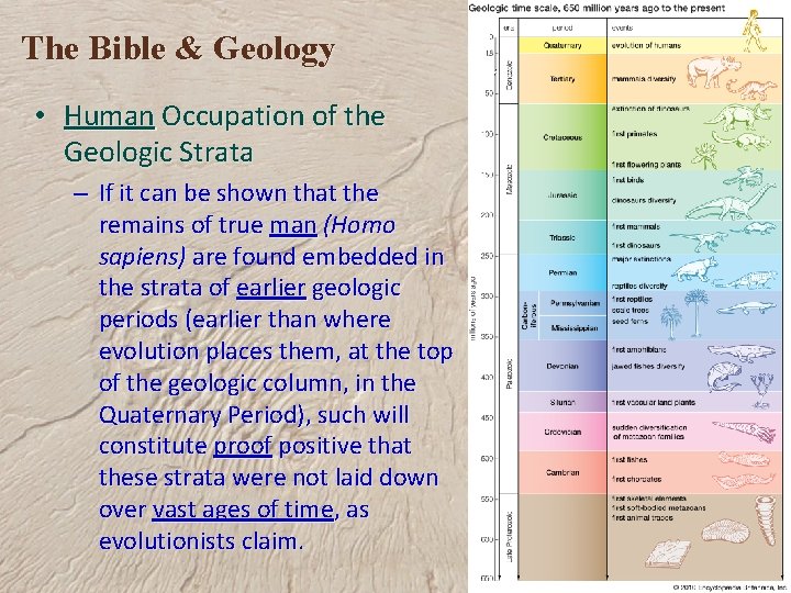 The Bible & Geology • Human Occupation of the Geologic Strata – If it