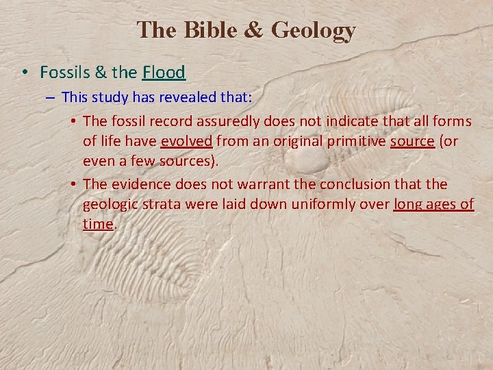 The Bible & Geology • Fossils & the Flood – This study has revealed