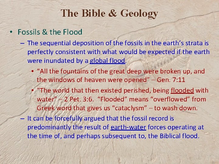 The Bible & Geology • Fossils & the Flood – The sequential deposition of