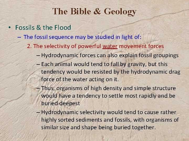The Bible & Geology • Fossils & the Flood – The fossil sequence may