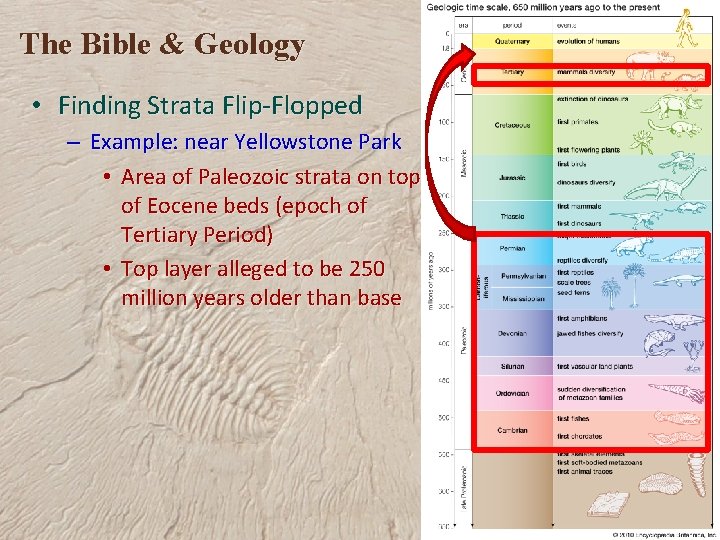 The Bible & Geology • Finding Strata Flip-Flopped – Example: near Yellowstone Park •