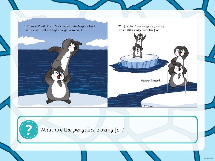 ? What are the penguins looking for? 