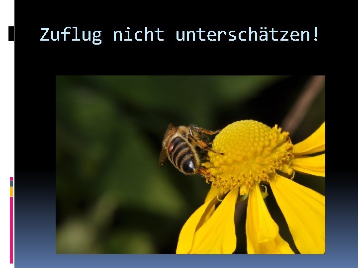 Zuflug nicht unterschätzen! 
