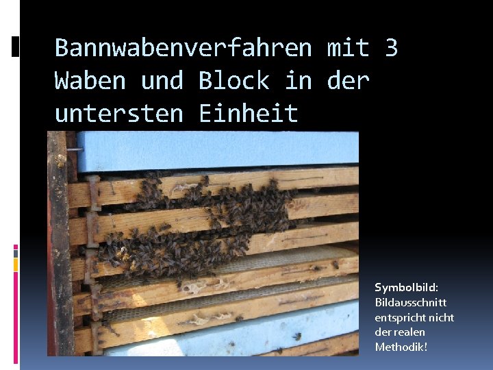 Bannwabenverfahren mit 3 Waben und Block in der untersten Einheit Symbolbild: Bildausschnitt entspricht nicht