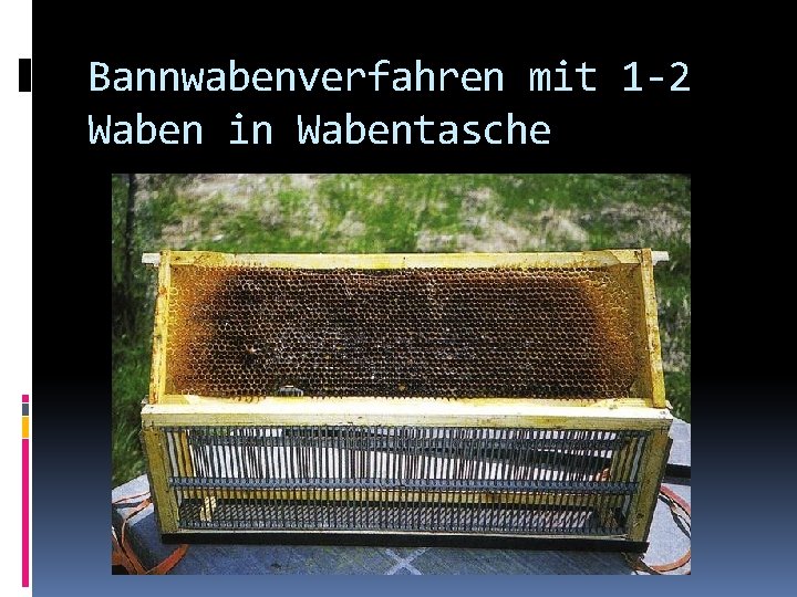 Bannwabenverfahren mit 1 -2 Waben in Wabentasche 