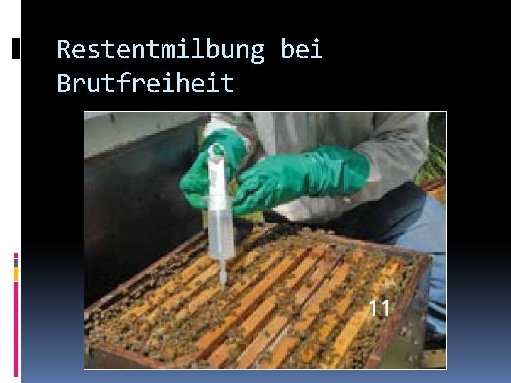 Restentmilbung bei Brutfreiheit 
