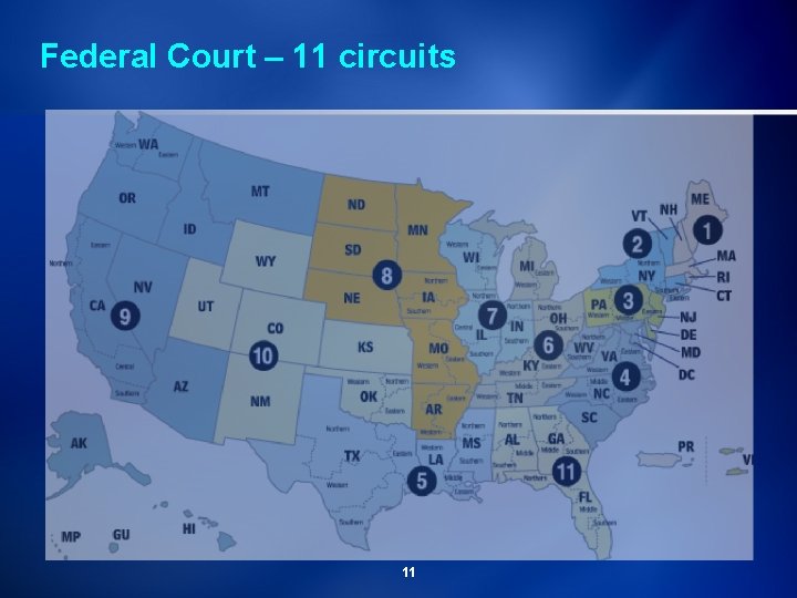 Federal Court – 11 circuits 11 