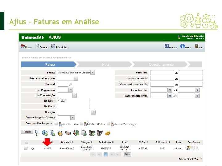 Ajius – Faturas em Análise 