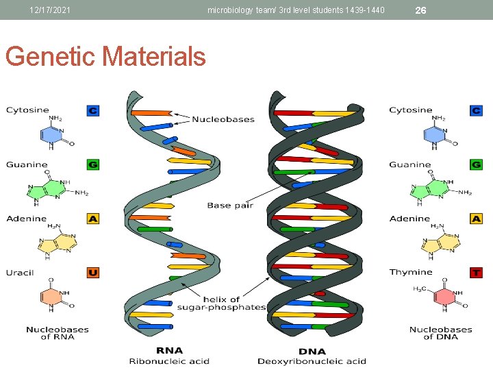 12/17/2021 Genetic Materials microbiology team/ 3 rd level students 1439 -1440 26 