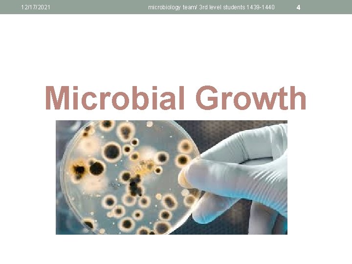 12/17/2021 microbiology team/ 3 rd level students 1439 -1440 4 Microbial Growth 
