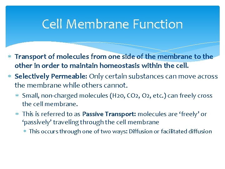 Cell Membrane Function Transport of molecules from one side of the membrane to the