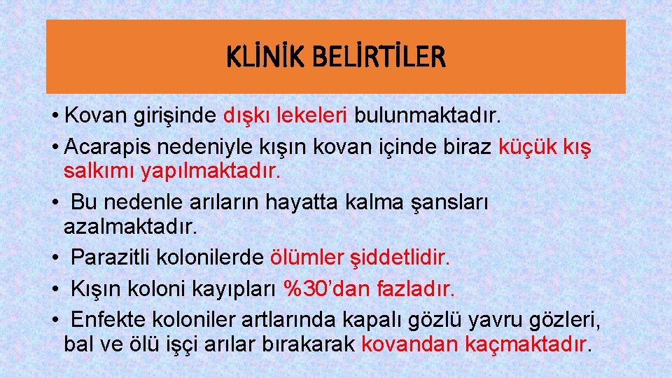 KLİNİK BELİRTİLER • Kovan girişinde dışkı lekeleri bulunmaktadır. • Acarapis nedeniyle kışın kovan içinde