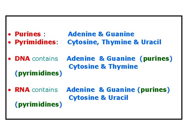  • Purines : • Pyrimidines: Adenine & Guanine Cytosine, Thymine & Uracil •