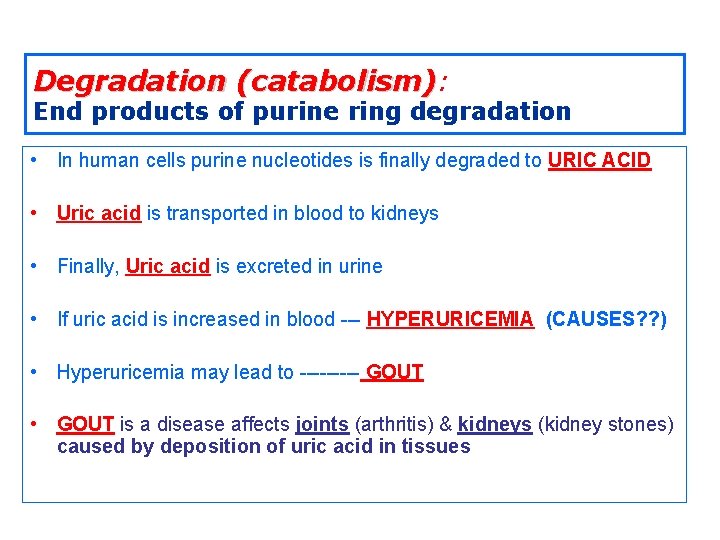 Degradation (catabolism): End products of purine ring degradation • In human cells purine nucleotides