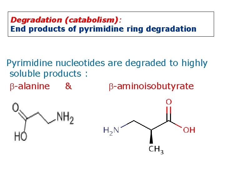 Degradation (catabolism): End products of pyrimidine ring degradation Pyrimidine nucleotides are degraded to highly