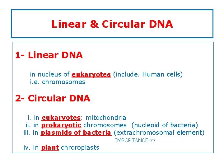 Linear & Circular DNA 1 - Linear DNA in nucleus of eukaryotes (include. Human