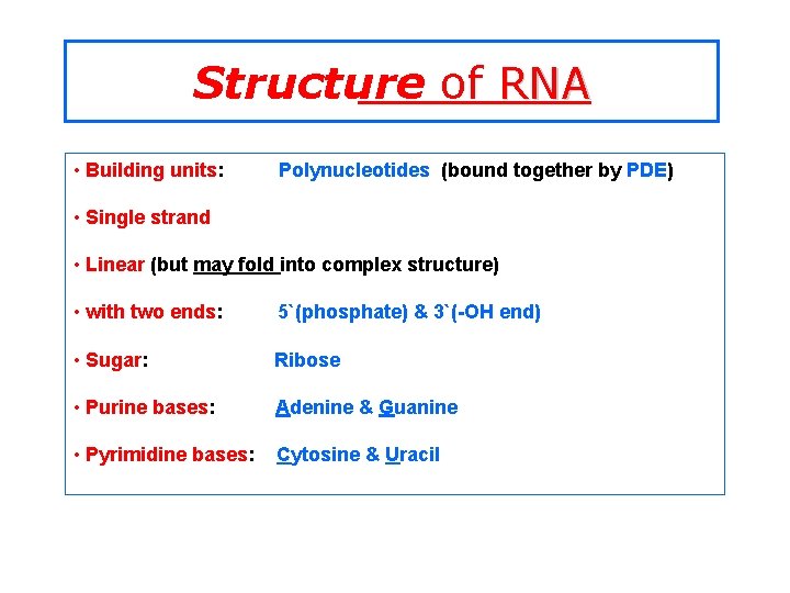 Structure of RNA • Building units: Polynucleotides (bound together by PDE) • Single strand