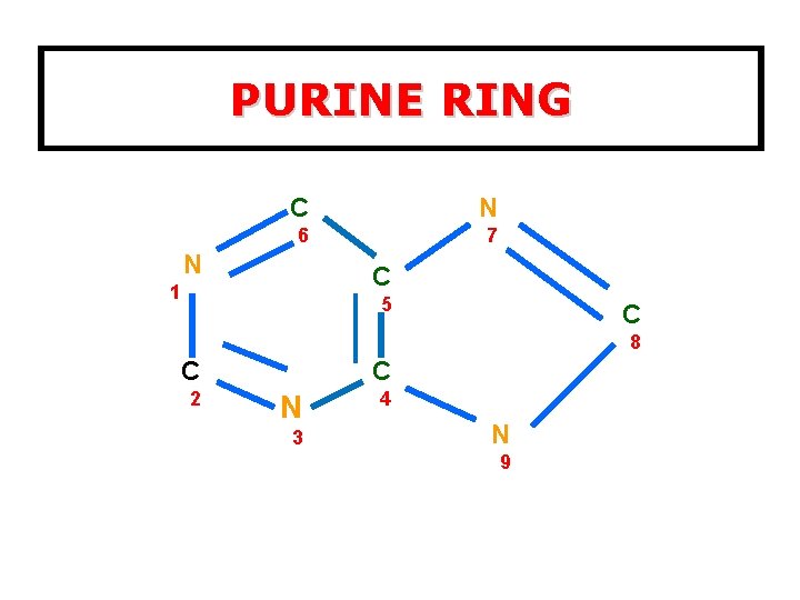 PURINE RING C N 6 7 N C 1 5 C 8 C 2