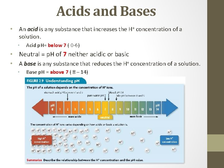 Acids and Bases • An acid is any substance that increases the H+ concentration