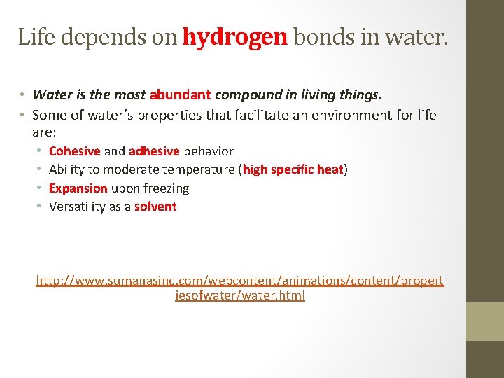 Life depends on hydrogen bonds in water. • Water is the most abundant compound