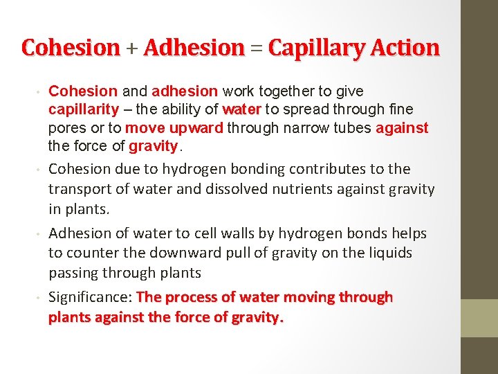 Cohesion + Adhesion = Capillary Action • Cohesion and adhesion work together to give