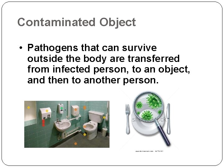 Contaminated Object • Pathogens that can survive outside the body are transferred from infected