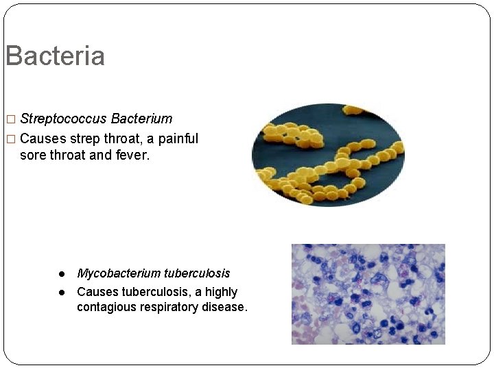 Bacteria � Streptococcus Bacterium � Causes strep throat, a painful sore throat and fever.