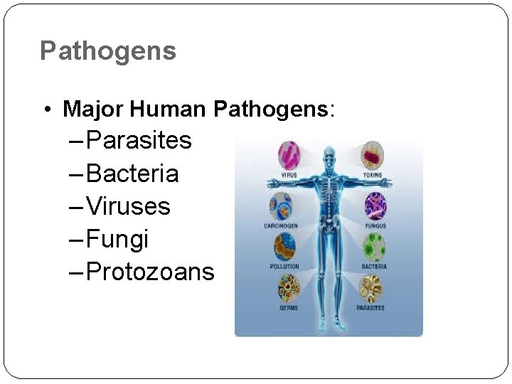 Pathogens • Major Human Pathogens: –Parasites –Bacteria –Viruses –Fungi –Protozoans 