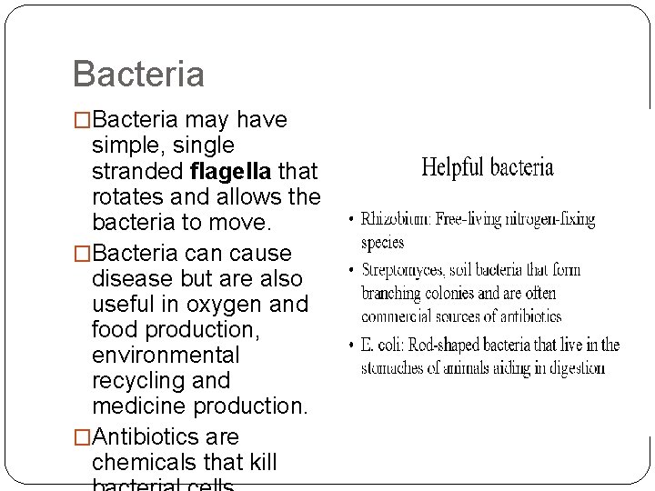 Bacteria �Bacteria may have simple, single stranded flagella that rotates and allows the bacteria