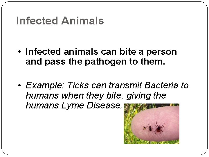 Infected Animals • Infected animals can bite a person and pass the pathogen to
