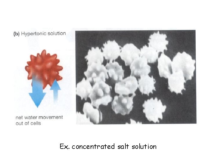 Ex. concentrated salt solution 