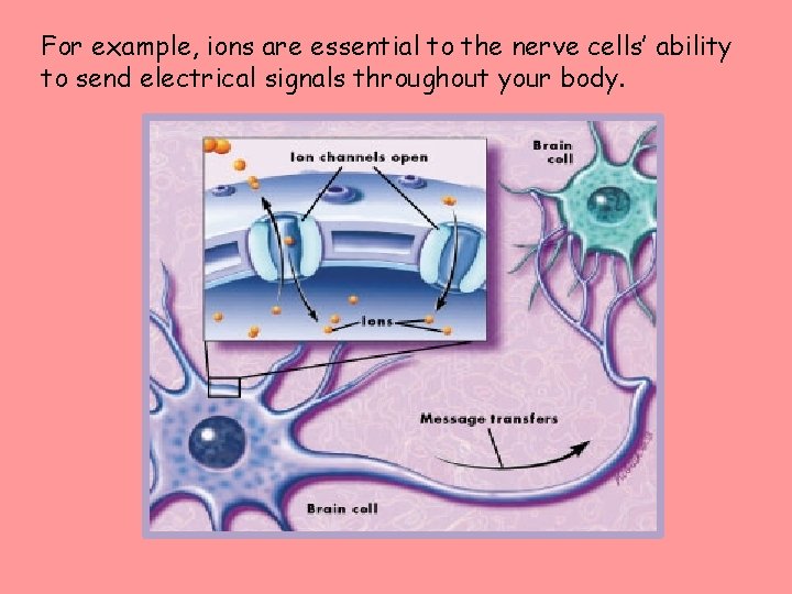 For example, ions are essential to the nerve cells’ ability to send electrical signals
