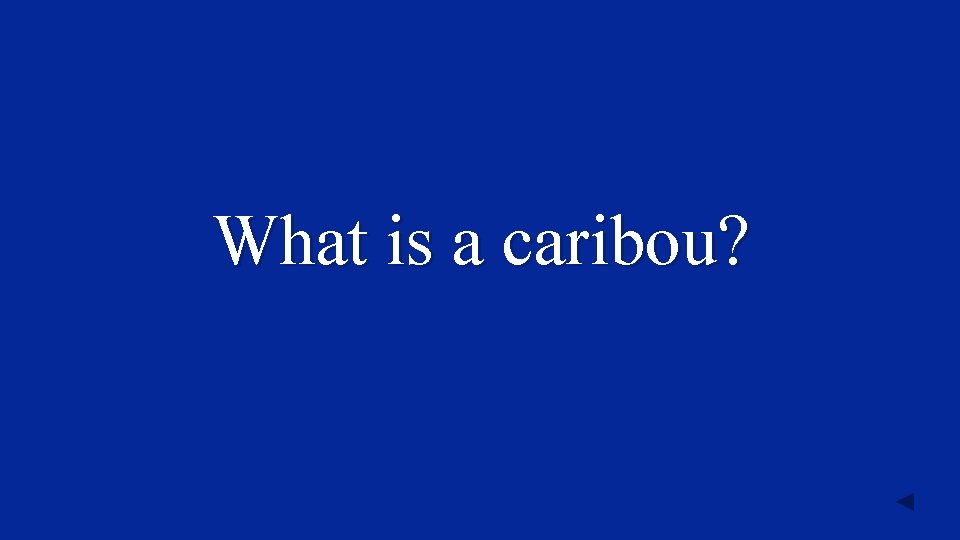 What is a caribou? 