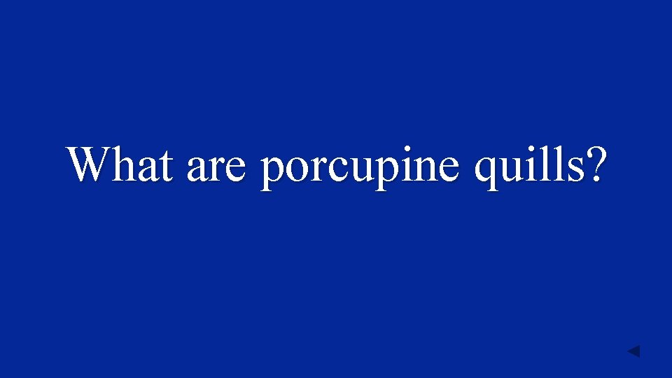 What are porcupine quills? 