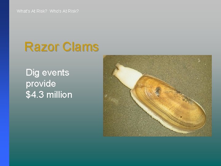 What’s At Risk? Who’s At Risk? Razor Clams Dig events provide $4. 3 million