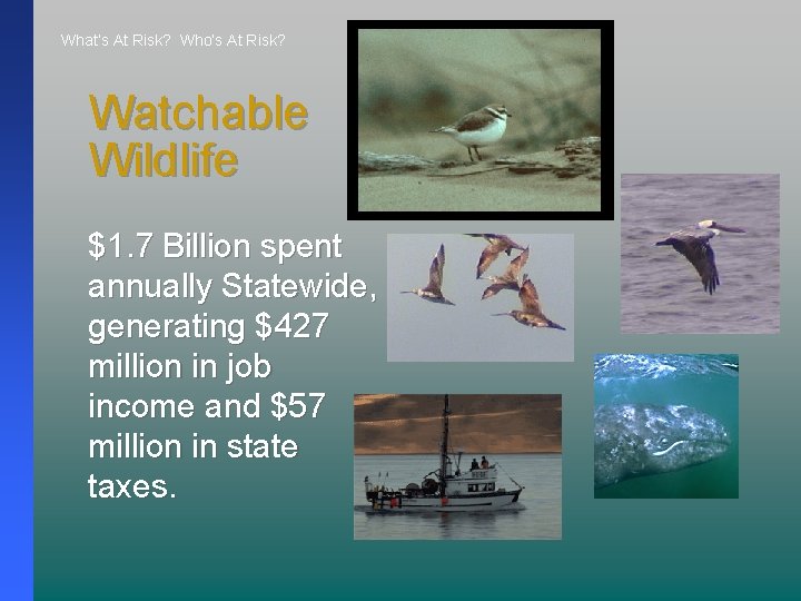 What’s At Risk? Who’s At Risk? Watchable Wildlife $1. 7 Billion spent annually Statewide,