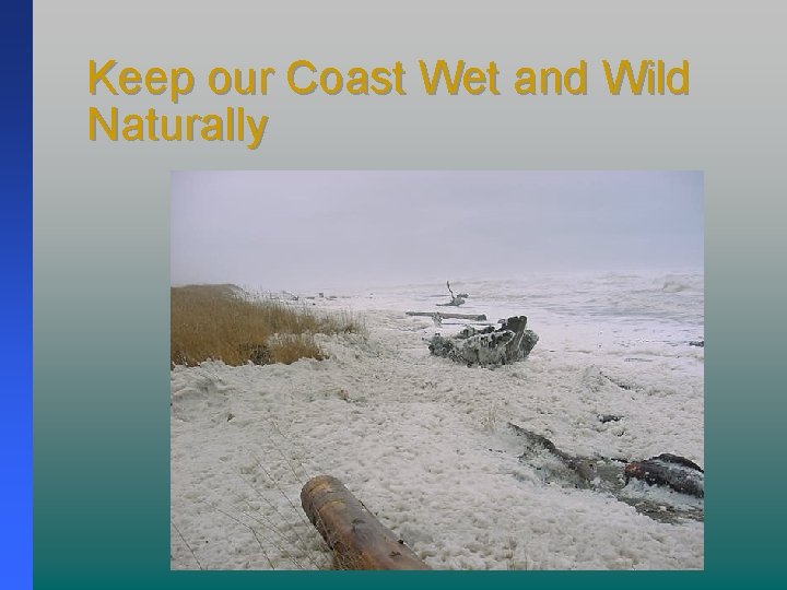 Keep our Coast Wet and Wild Naturally 