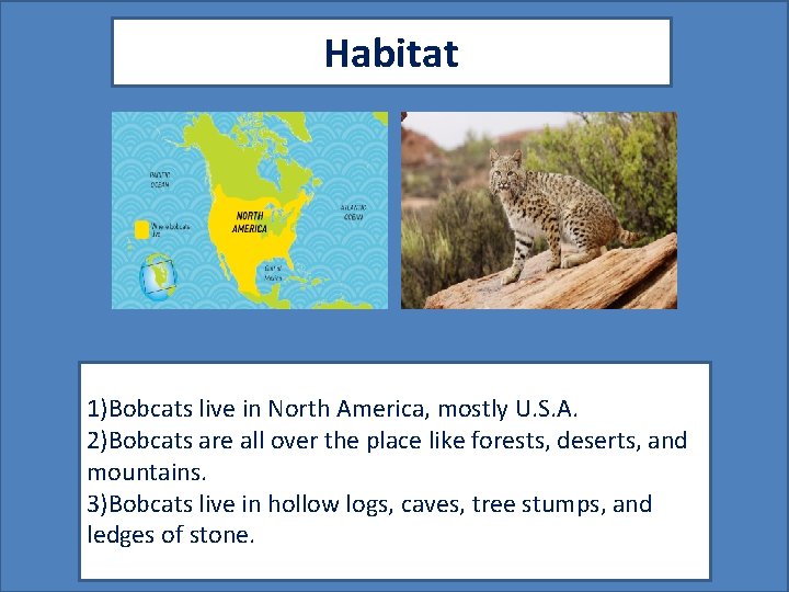 Habitat Map showing where your animal lives Picture showing your animal in its habitat.