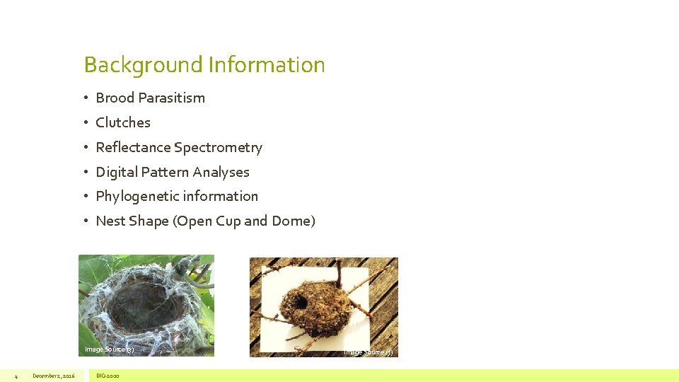 Background Information • Brood Parasitism • Clutches • Reflectance Spectrometry • Digital Pattern Analyses