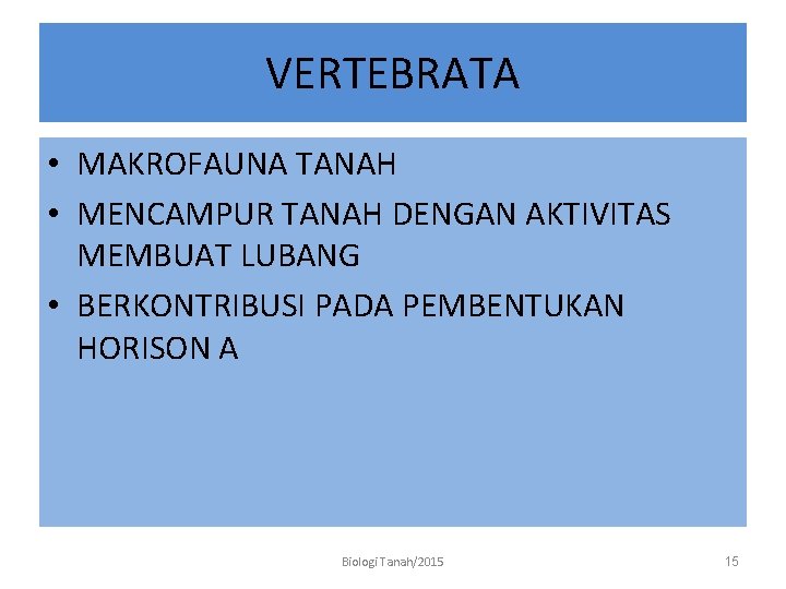 VERTEBRATA • MAKROFAUNA TANAH • MENCAMPUR TANAH DENGAN AKTIVITAS MEMBUAT LUBANG • BERKONTRIBUSI PADA