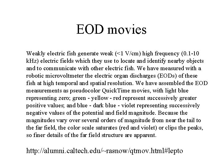 EOD movies Weakly electric fish generate weak (<1 V/cm) high frequency (0. 1 -10
