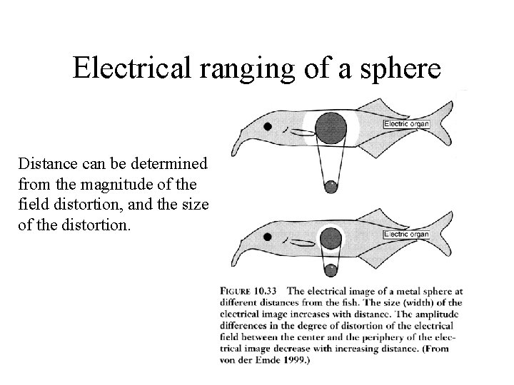 Electrical ranging of a sphere Distance can be determined from the magnitude of the