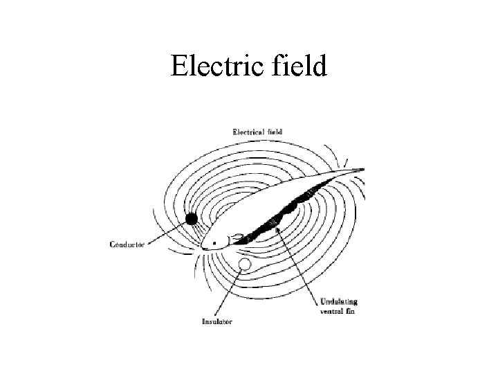 Electric field 