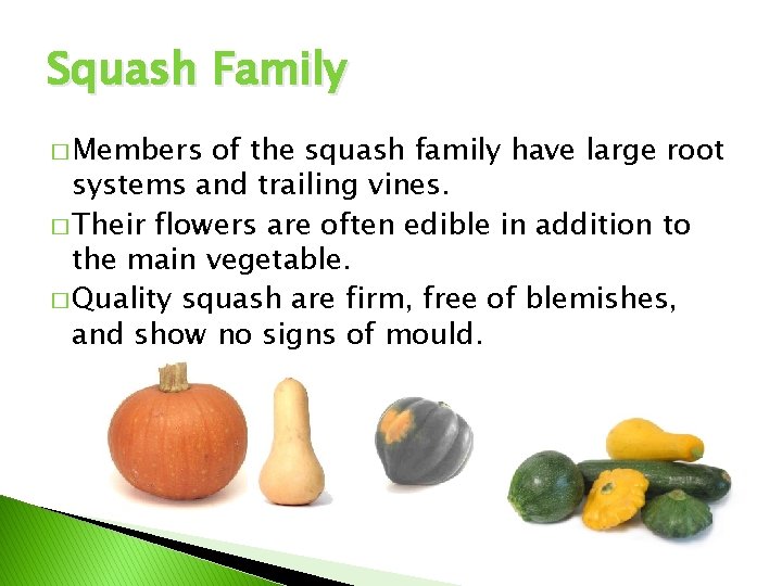 Vegetables are EDIBLE plants Squash Family Members of