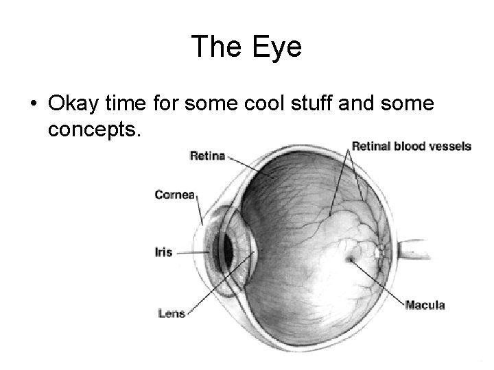The Eye • Okay time for some cool stuff and some concepts. 