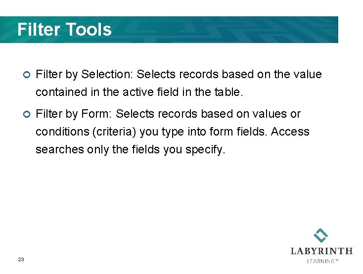 Filter Tools ¢ Filter by Selection: Selects records based on the value contained in