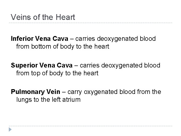 Veins of the Heart Inferior Vena Cava – carries deoxygenated blood from bottom of