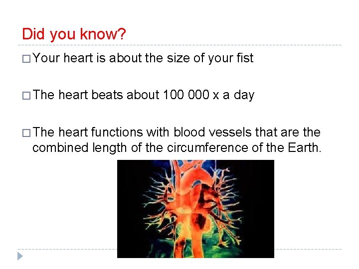 Did you know? � Your � The heart is about the size of your